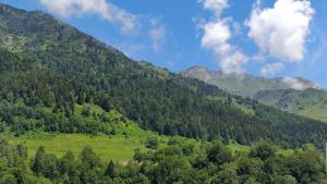 a green hillside with trees and mountains in the background at Chalet Étoile des neiges in Barèges