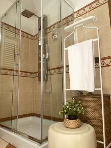 a bathroom with a shower with a plant on a stool at Green Room in Aversa