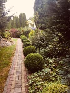 a brick path in a garden with bushes and trees at Mała Wenecja - Apartament przy "Stodole" in Nowe Worowo