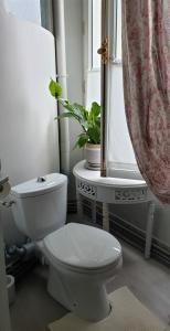 a bathroom with a toilet and a plant in a window at Royal Hubert in Provins +38 photos