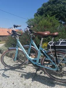 a blue bike is parked next to a bush at B&B Sarzeau in Sarzeau