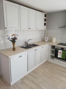 A kitchen or kitchenette at VĖJO16