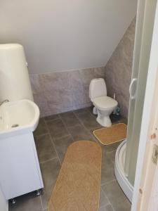 La salle de bains est pourvue de toilettes et d'un lavabo. dans l'établissement VĖJO16, à Biržai
