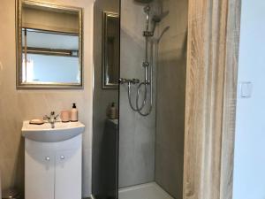 La salle de bains est pourvue d'une douche et d'un lavabo. dans l'établissement Apartmán U babičky, à Prague