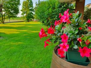 Billede fra billedgalleriet på B&B Villalta i Treviso