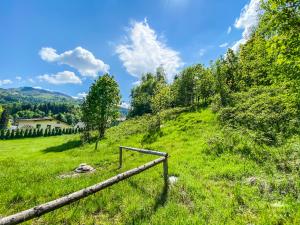 Príroda v okolí apartmánu