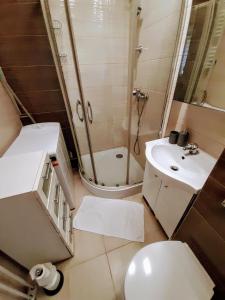 a bathroom with a shower and a toilet and a sink at Apartament Ostrowskiego in Wrocław