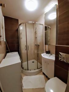 a bathroom with a shower and a toilet and a sink at Apartament Ostrowskiego in Wrocław