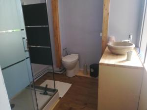 a bathroom with a toilet and a sink at STUDIO INDEPENDANT ET TINY HOUSE DANS FERME 18ème in Saint-Michel-sur-Savasse
