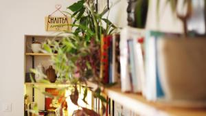 a shelf with books and a potted plant on it at Tchaikovsky Hostel Split (T-Hostel) in Split