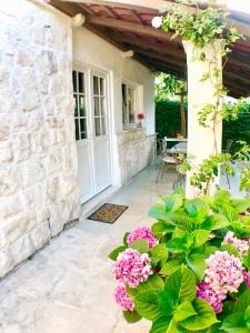 Gallery image of Apartments Lucy in Milna