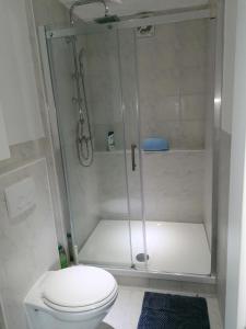 y baño con ducha y aseo. en Apartment North City Hannover, en Hannover