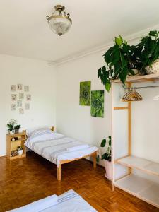Fotografia z galérie ubytovania DreamFlat v destinácii Keszthely