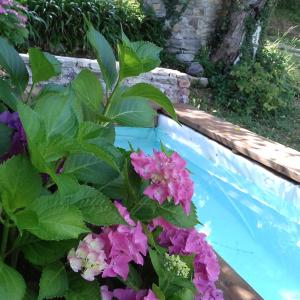 a garden with pink flowers next to a swimming pool at Hexagon in Ortignano Raggiolo