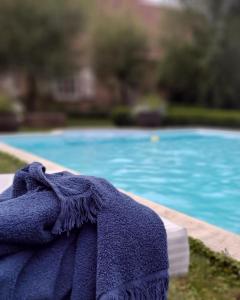 a blue towel laying next to a swimming pool at Rose Residence in Dobroszyce