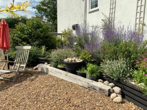 einen Garten mit verschiedenen Pflanzen und einem Stuhl darin in der Unterkunft The Red Lion Inn in Spilsby