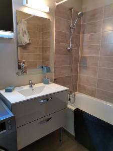 a bathroom with a sink and a shower with a mirror at Appartement Aline et Phil in Luz-Saint-Sauveur