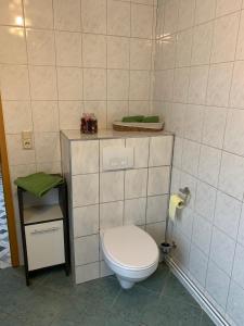 a bathroom with a white toilet in a room at Ferienwohnung Römmer in Ströbeck +16 photos
