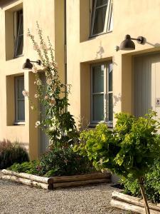 Zahrada ubytování Hôtel Ginkgo - SPA Biloba