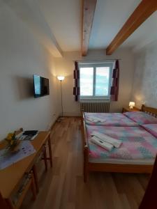um quarto com uma cama, uma secretária e uma televisão em Penzión Šefčík em Harichovce