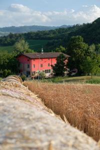 eine rote Scheune mitten auf einem Feld in der Unterkunft Al Sasseto B&B in Montagnana