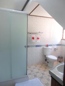 a bathroom with a shower with a toilet and a sink at Belle Des Iles in La Digue