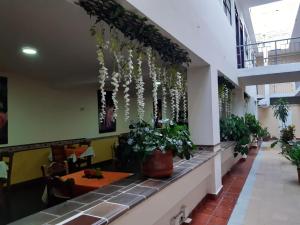 a restaurant with plants hanging from the ceiling at Hotel El Andino in Cúcuta