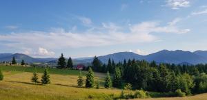 un campo con árboles y montañas en el fondo en Pensiunea Zana Muntilor, en Piatra Fântânele