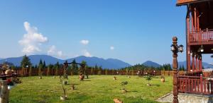 un campo con un parque infantil con montañas al fondo en Pensiunea Zana Muntilor, en Piatra Fântânele