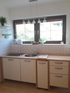 Putterer Stadl في دونيغسباشوالد: مطبخ مع حوض وطاولة عمل