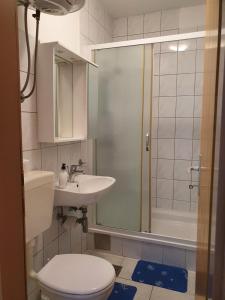 a bathroom with a toilet and a sink and a shower at Apartments Adriatic in Korčula