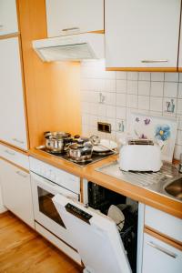 Kuchyň nebo kuchyňský kout v ubytování Appartement VIDMAR-WINTERTRAUM