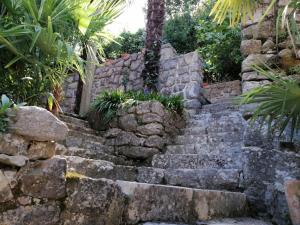 a stone staircase in a stone wall with plants at Erika in Ika