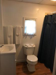 a bathroom with a toilet and a sink and a window at Northern Peaks Motor Inn in Gorham