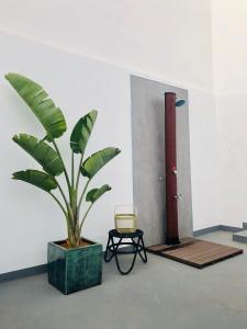 Zdjęcie z galerii obiektu Bella Home w mieście Garachico