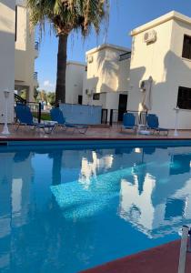 a swimming pool with blue chairs and palm trees at Seashell Apartments in Paphos