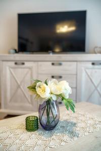 TV a/nebo společenská místnost v ubytování Holiday Home Slavica, prizemlje objekta
