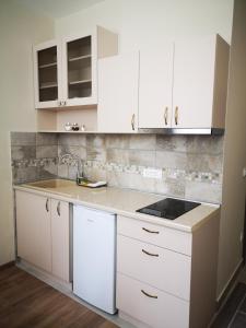 Kuchyň nebo kuchyňský kout v ubytování Apartments&Camping ZIP