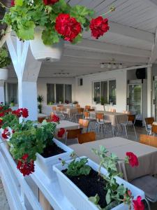 a room with tables with flowers and plants on it at Vila Dedy in Costinesti