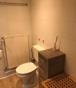 a bathroom with a white toilet and a wooden cabinet at Ferienhaus Garten Eden am Haddorfer See in Wettringen