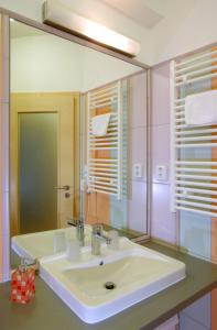 ein Bad mit einem Waschbecken und einem Spiegel in der Unterkunft Hotel Centrum Brno in Brünn