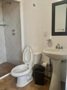 La salle de bains est pourvue de toilettes et d'un lavabo. dans l'établissement Regis Hotel Boutique, à Mineral del Monte