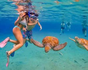 a group of people swimming in the water with turtles at Pousada Suites Nova Mar Ilhabela in Ilhabela