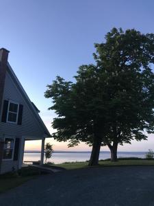 a house and a tree next to the ocean at Cresthaven By the Sea in South Maitland