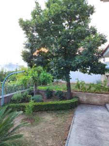 uma árvore num jardim ao lado de um passeio em Apartment with private garden and terrace em Crikvenica