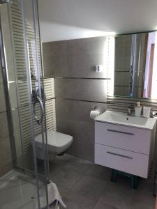ein Badezimmer mit einem Waschbecken, einem WC und einem Spiegel in der Unterkunft Noclegi pod kasztanem in Duszniki-Zdrój