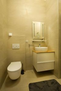 a bathroom with a toilet and a sink and a mirror at Metropolis Apartments in Zagreb