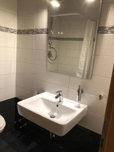 a bathroom with a sink and a mirror and a toilet at Zielitzer Hof in Zielitz