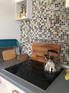 - un comptoir de cuisine avec une bouilloire et une cuisinière dans l'établissement Holiday Home-kuća GORICA VERDE, à Fužine