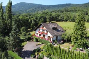 una vista aérea de una casa con vides en La Maison Fleurie, en Dieffenbach-au-Val